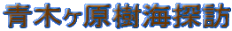 ؃CTK