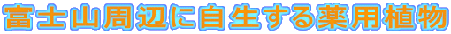 xmRӂɎpA